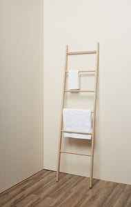 Wooden Ladder